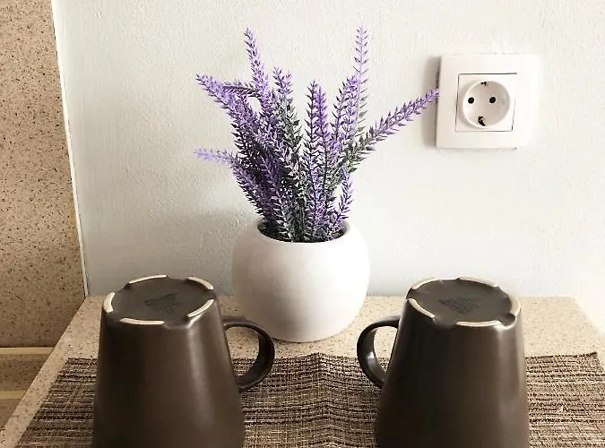 Sunshine By Flat Mаnager *